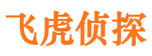 志丹市调查公司